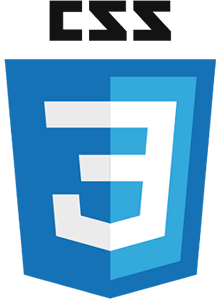 css3